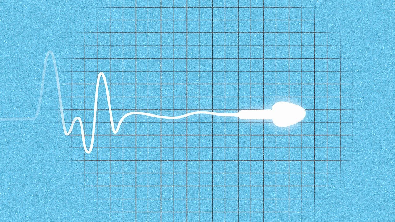 I livelli di testosterone sono influenzati dall'ambiente in cui si cresce