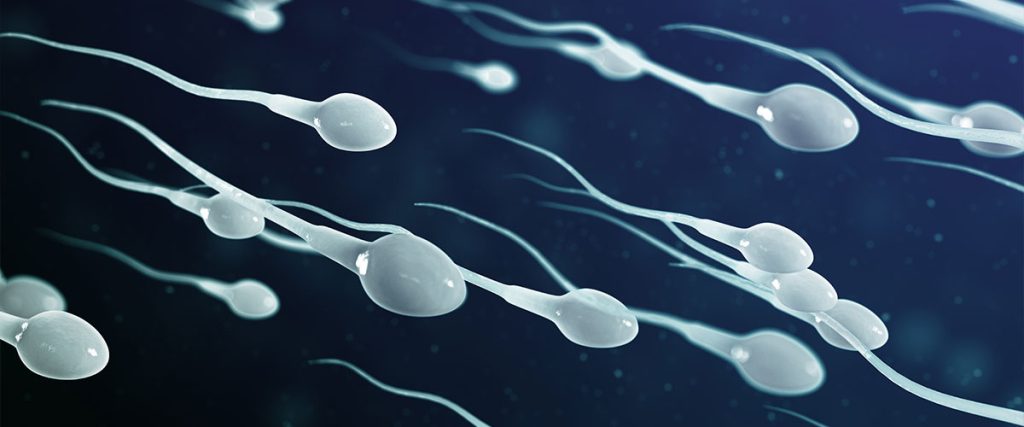 La molecola che stimola l'iperattività degli spermatozoi