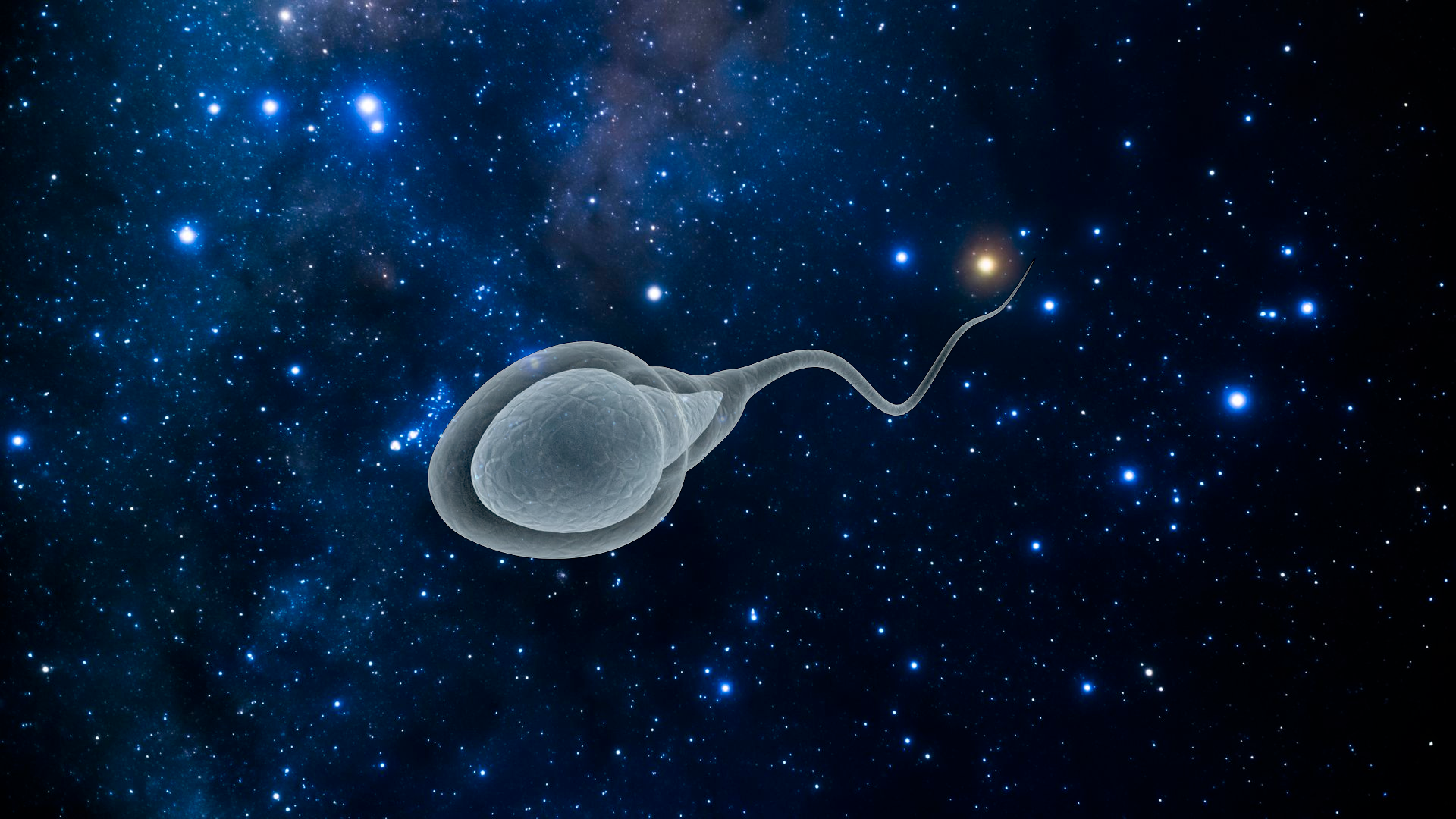 Come si muovono gli spermatozoi nello Spazio?