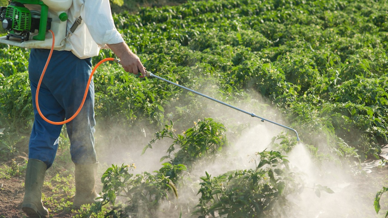 I pesticidi e il loro impatto sulla fertilità maschile